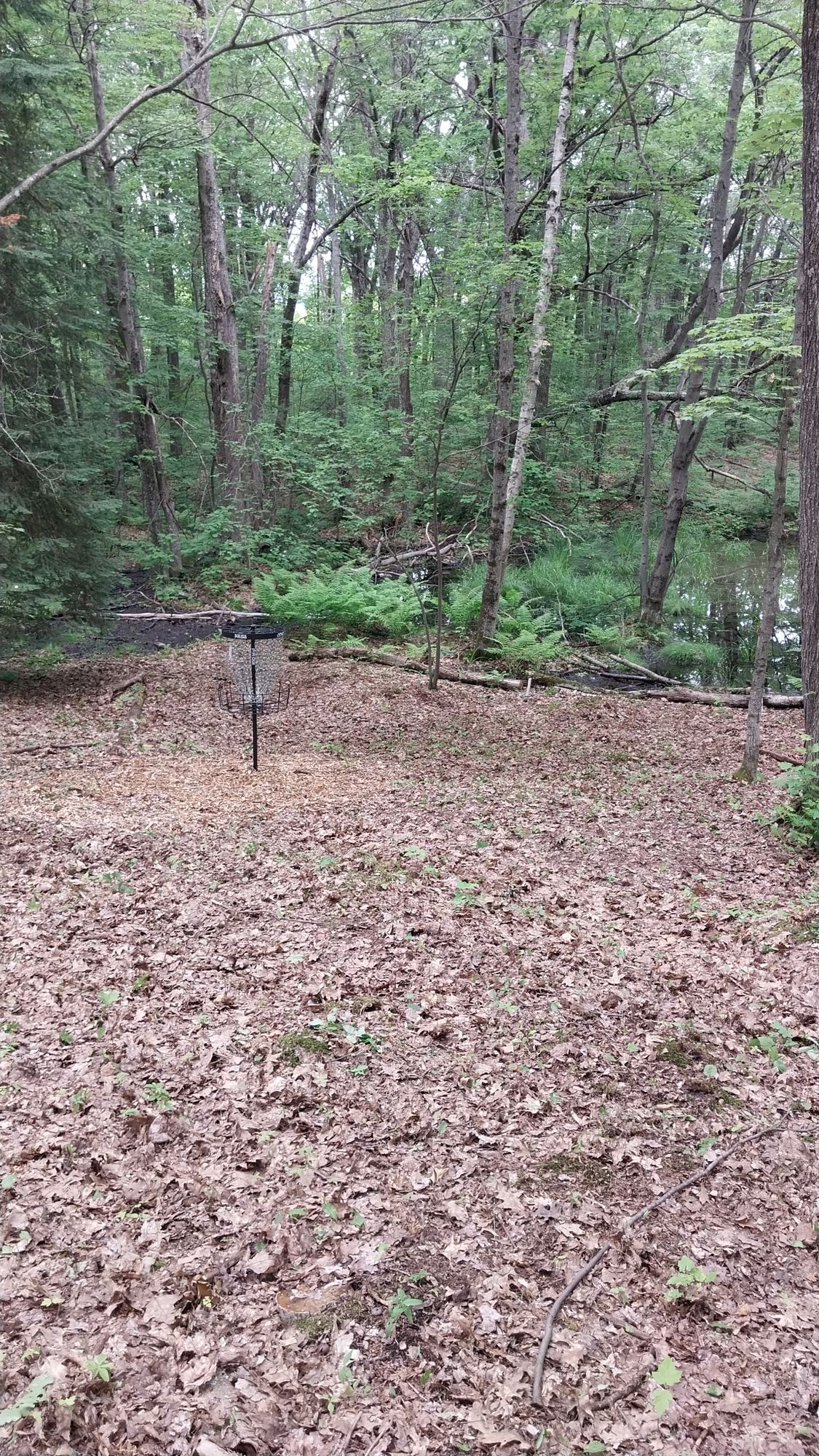 Hole 3 short