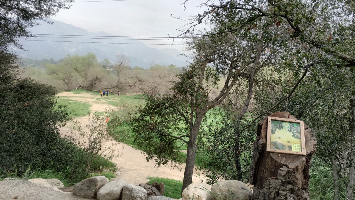 Hole 5