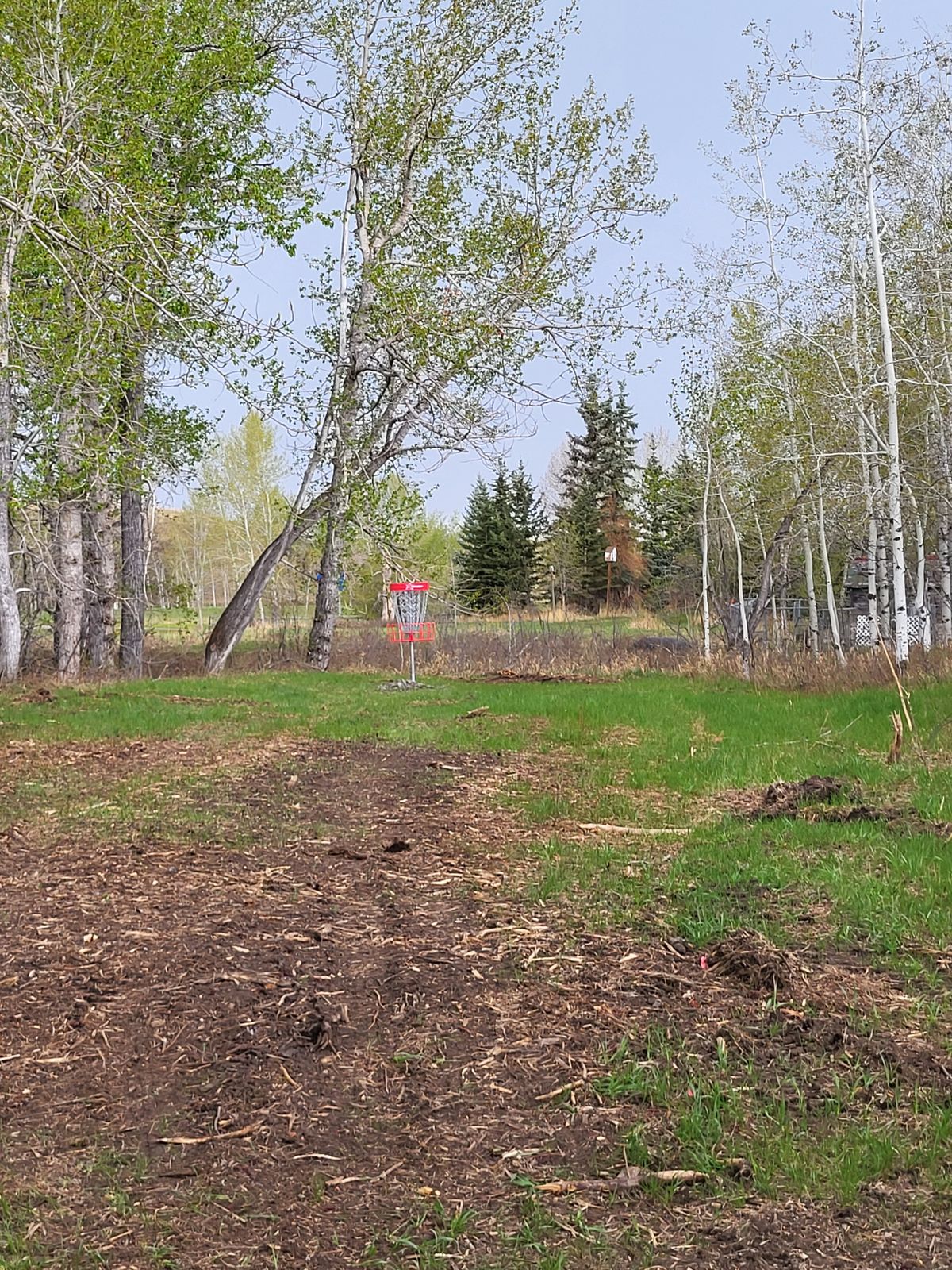 Hole 7 basket.