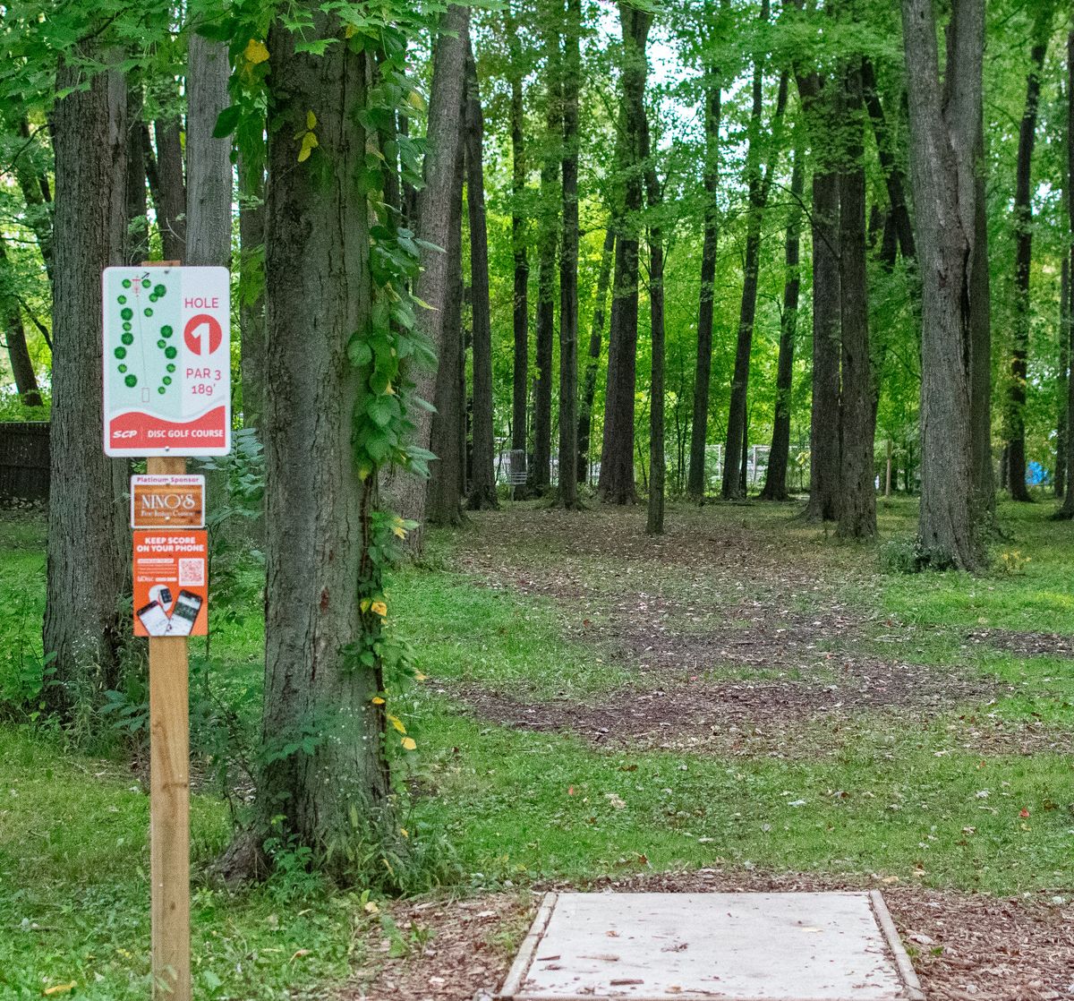 #1. Lots of guardian trees near the circle.