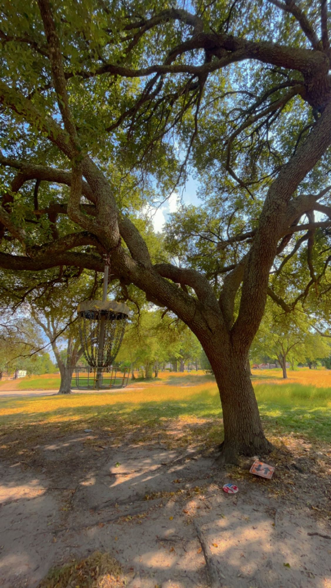 Hole 14 Basket