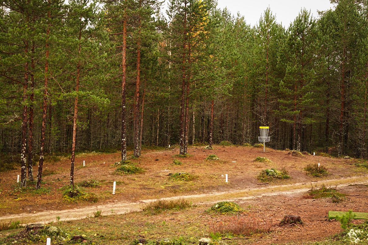 Basket on the island hole, hole 16