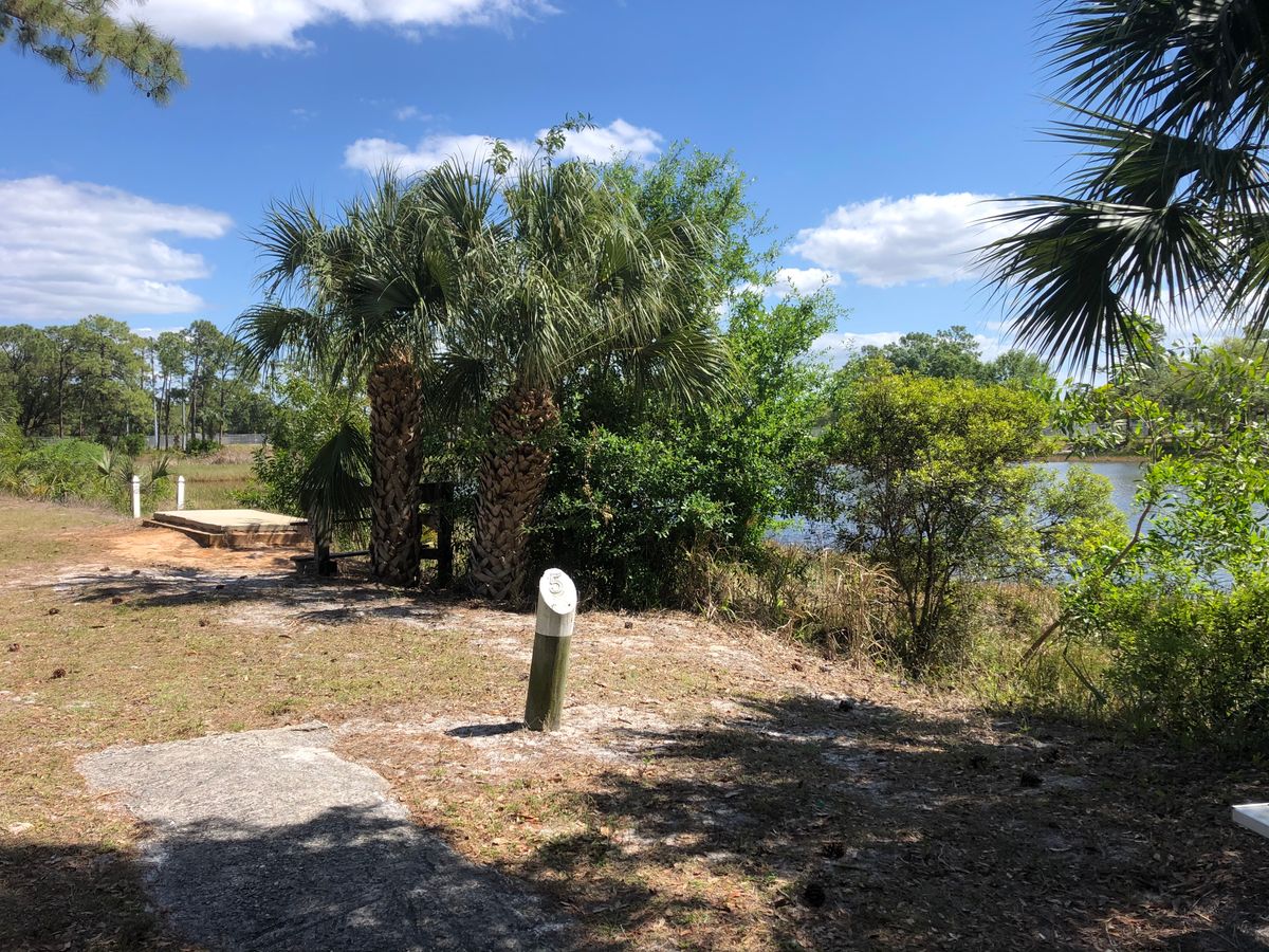5 blue tee.  Lake’s edge hyzer hole.
