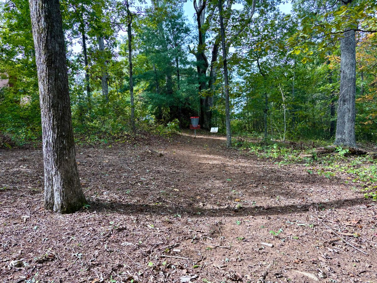 Hole 7 approach