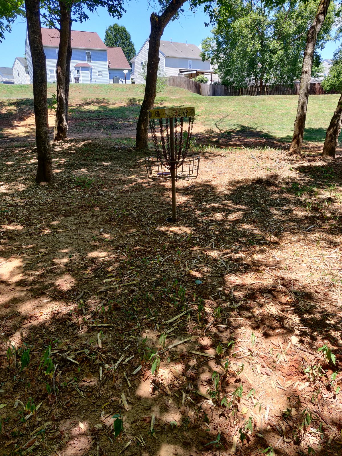 Hole 11. Looking at the basket from the left side of the fairway. Tee pad is to the left.