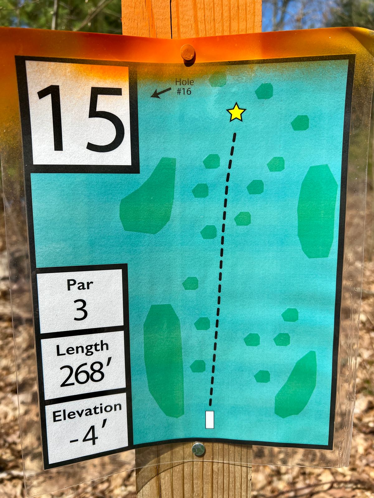 Hole #15