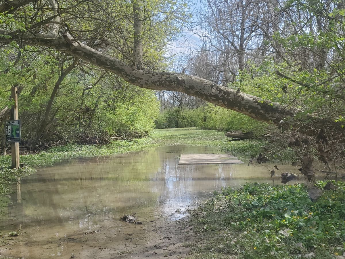 15 after heavy rain