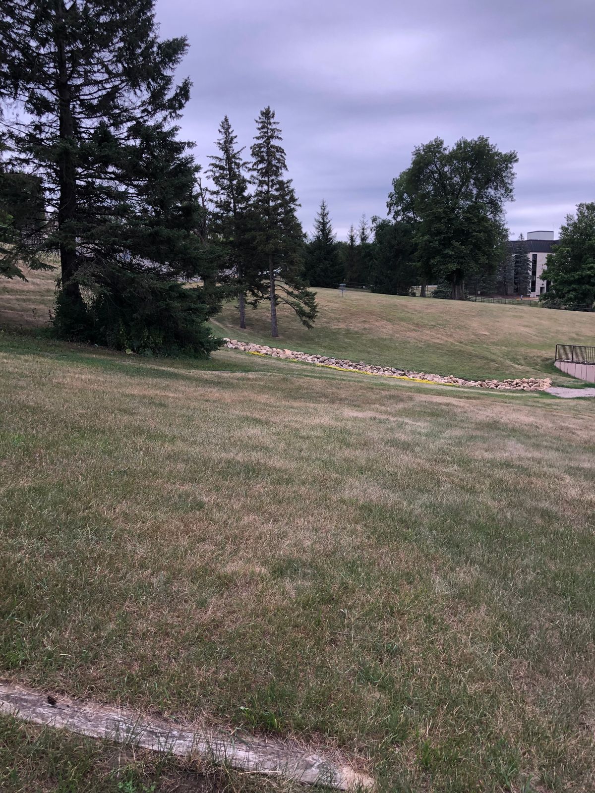 Tee 12