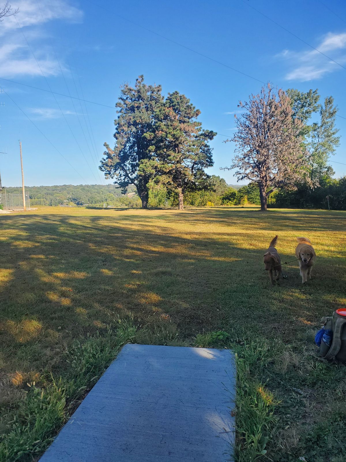 Hole 7