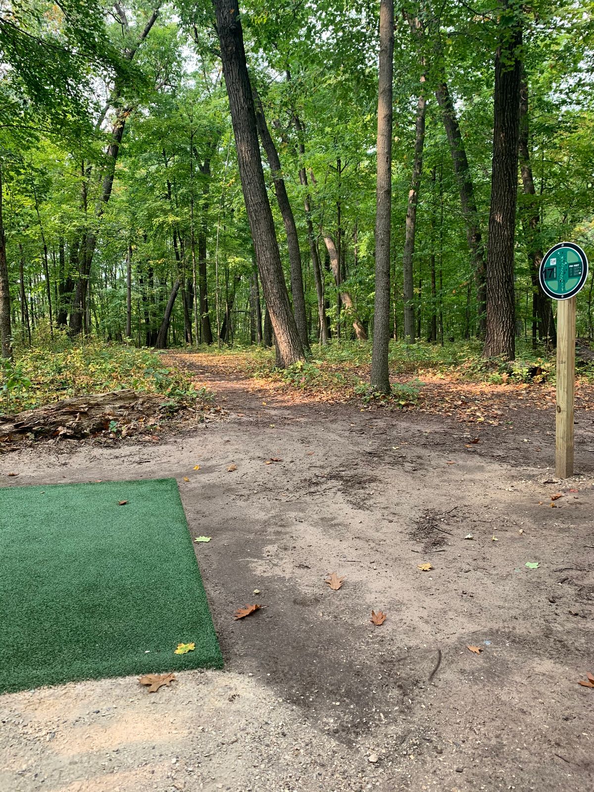 Short tee