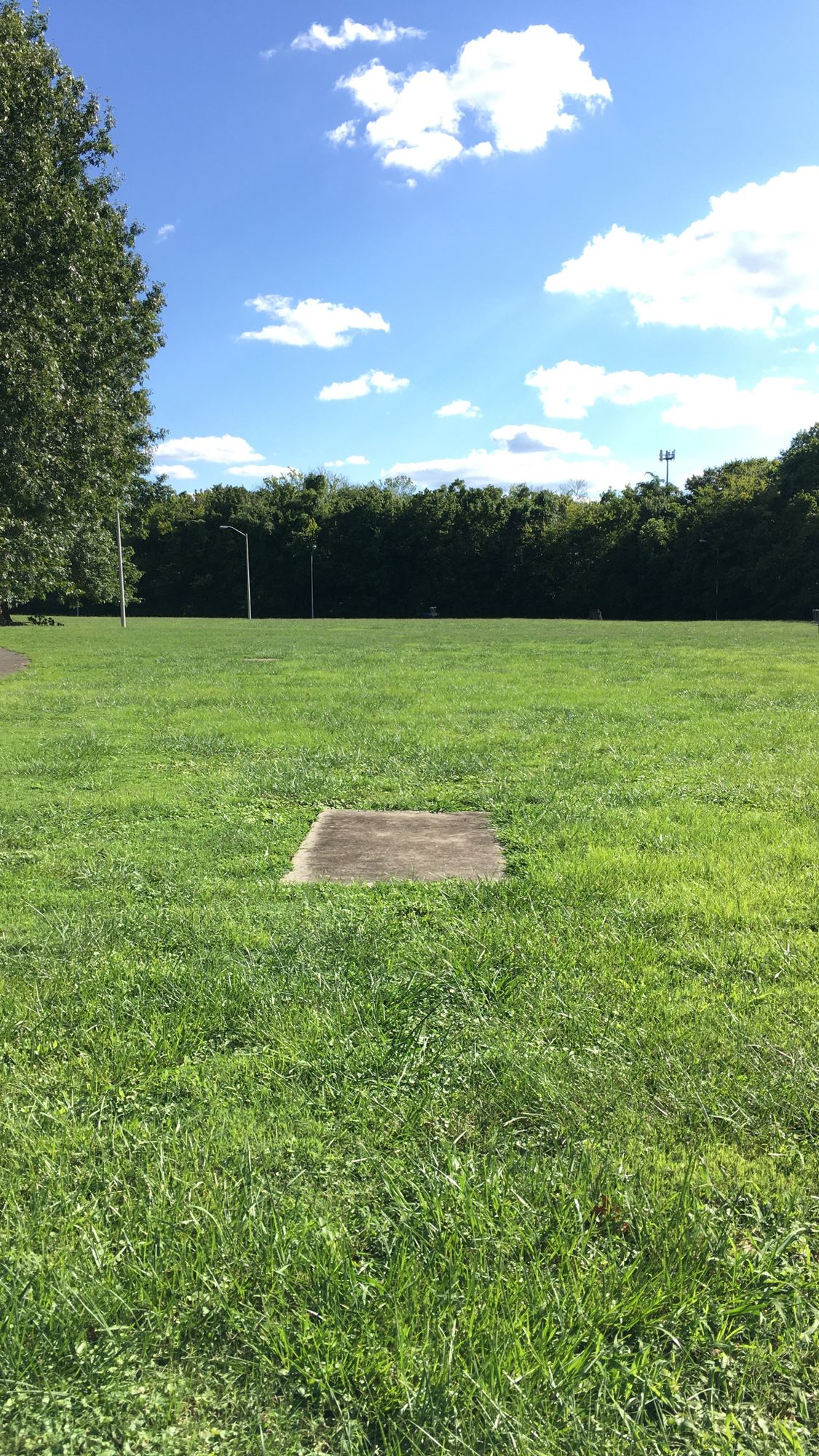 Hole 6 - Pad - Main (Long)