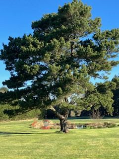 Hanging basket on #18