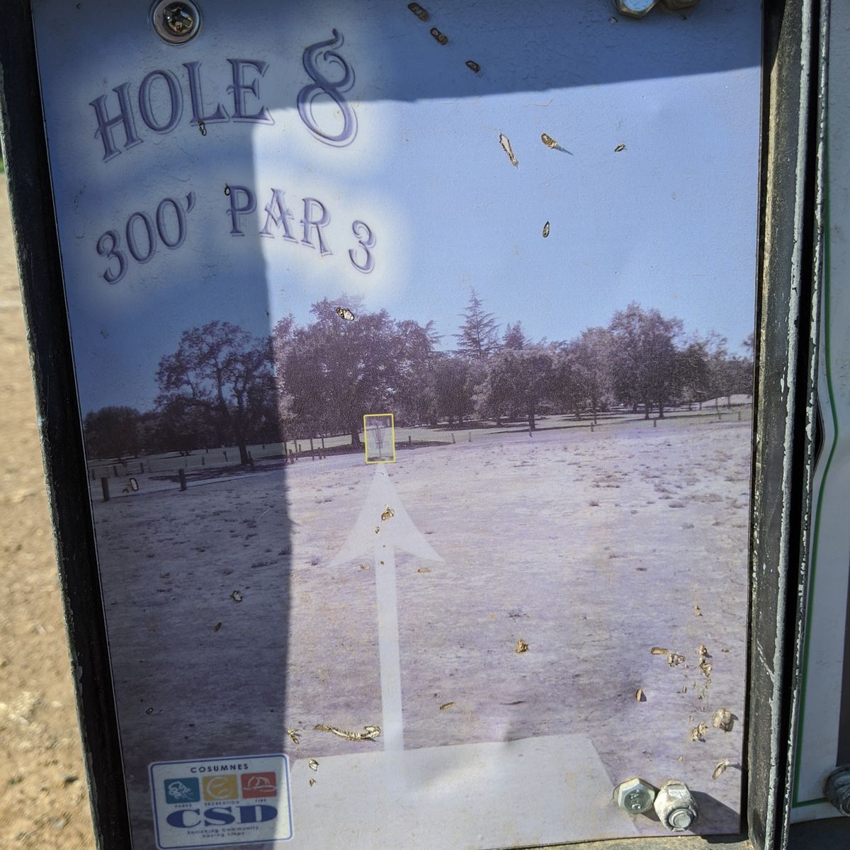 Hole #8