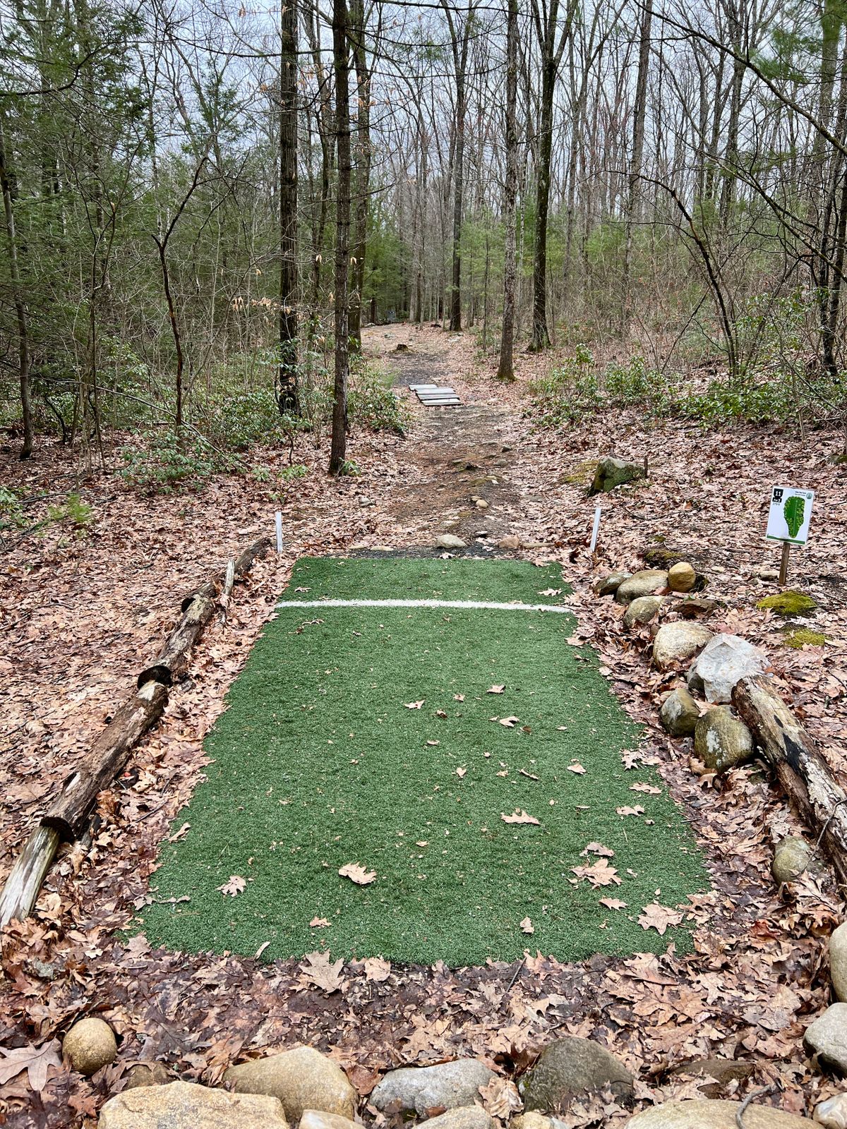 Hole #11 Tee Box