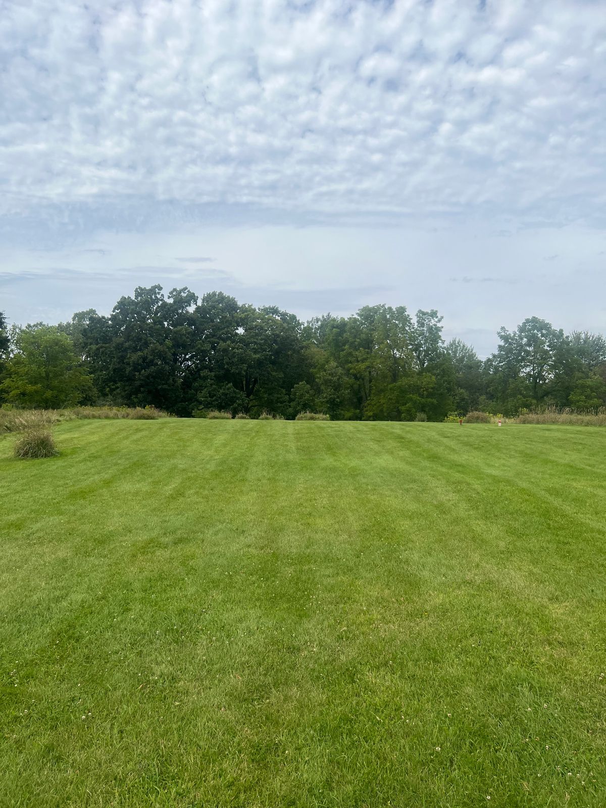 Hole 14 (White) - Tee Pad