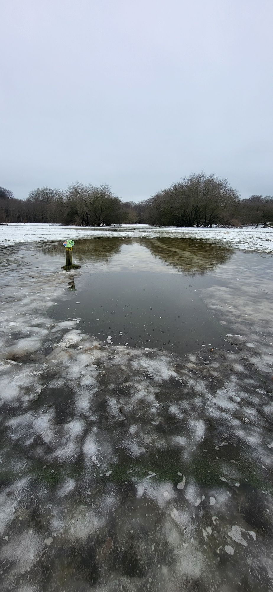 A rare winter moment