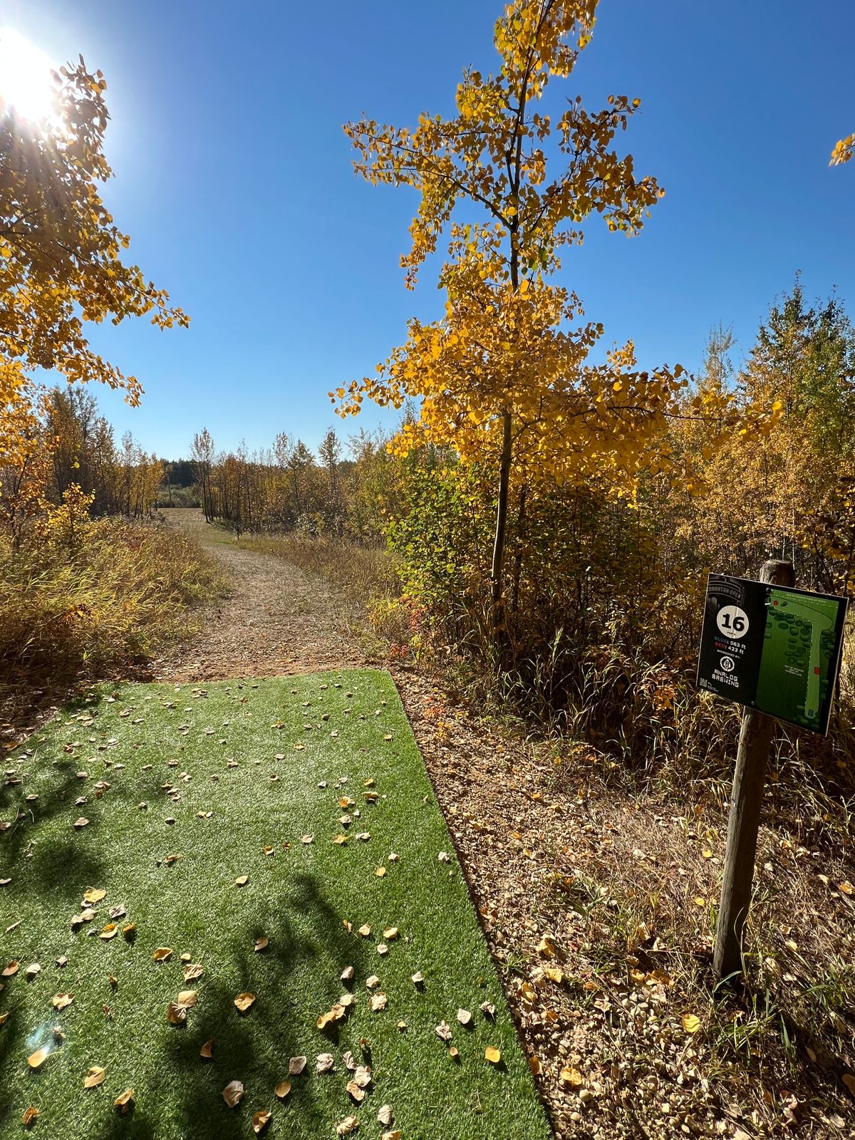 Hole 16 Tee Pad