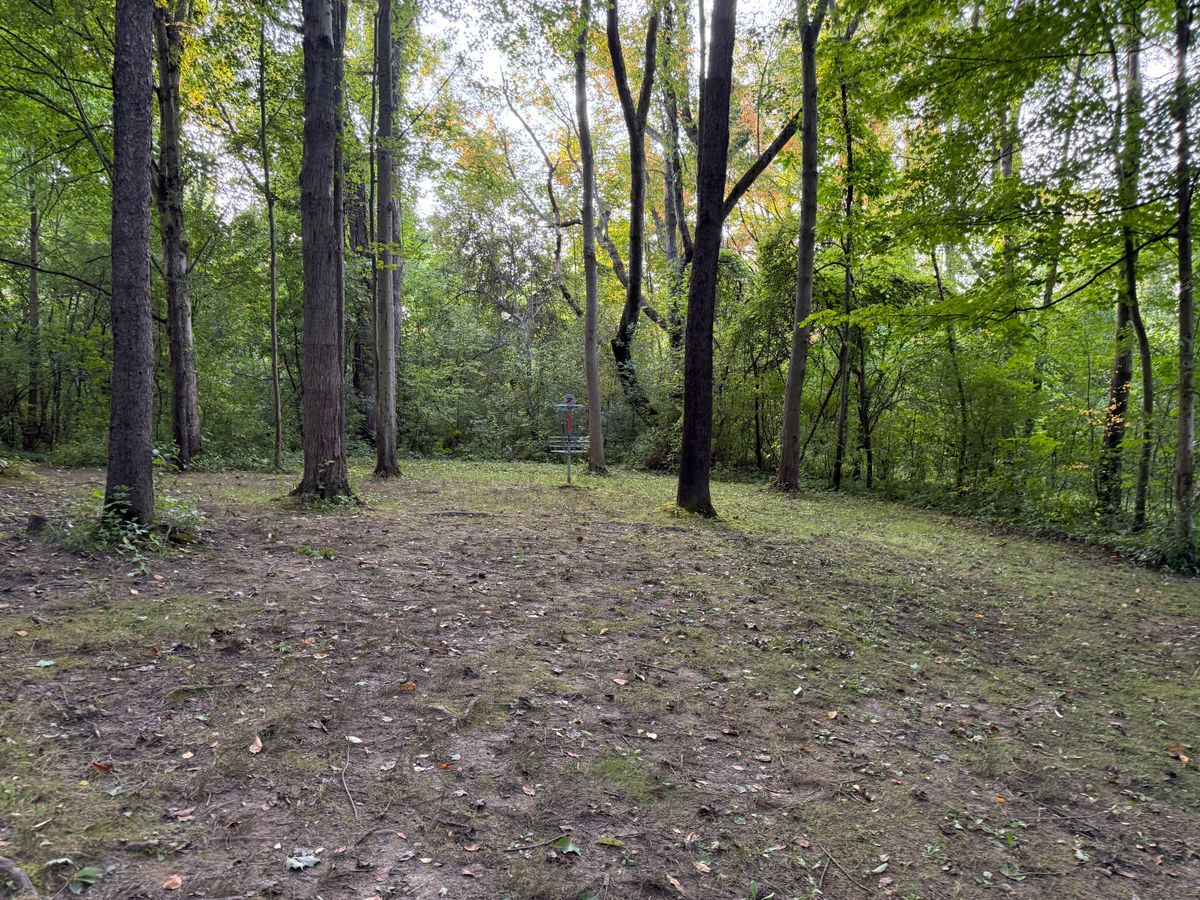 Hole 7 Green