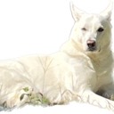 User avatar image