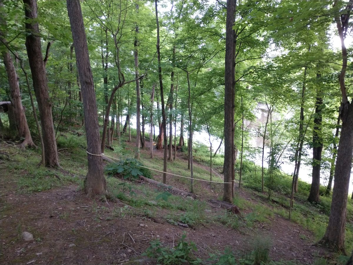 Hole 7 top of the hill looking down towards the basket