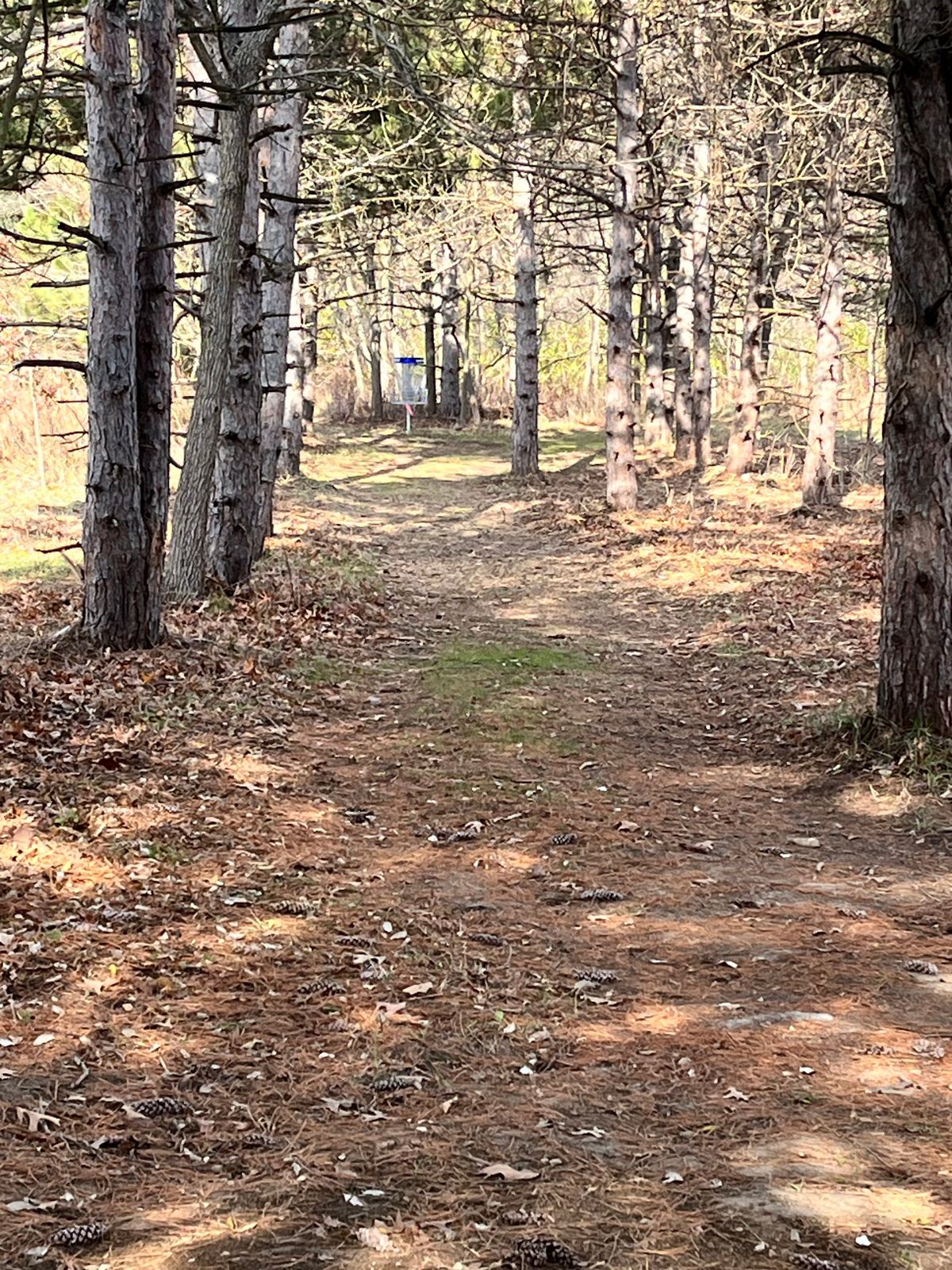 Hole 11 Tee
