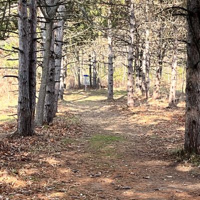 Hole 11 Tee