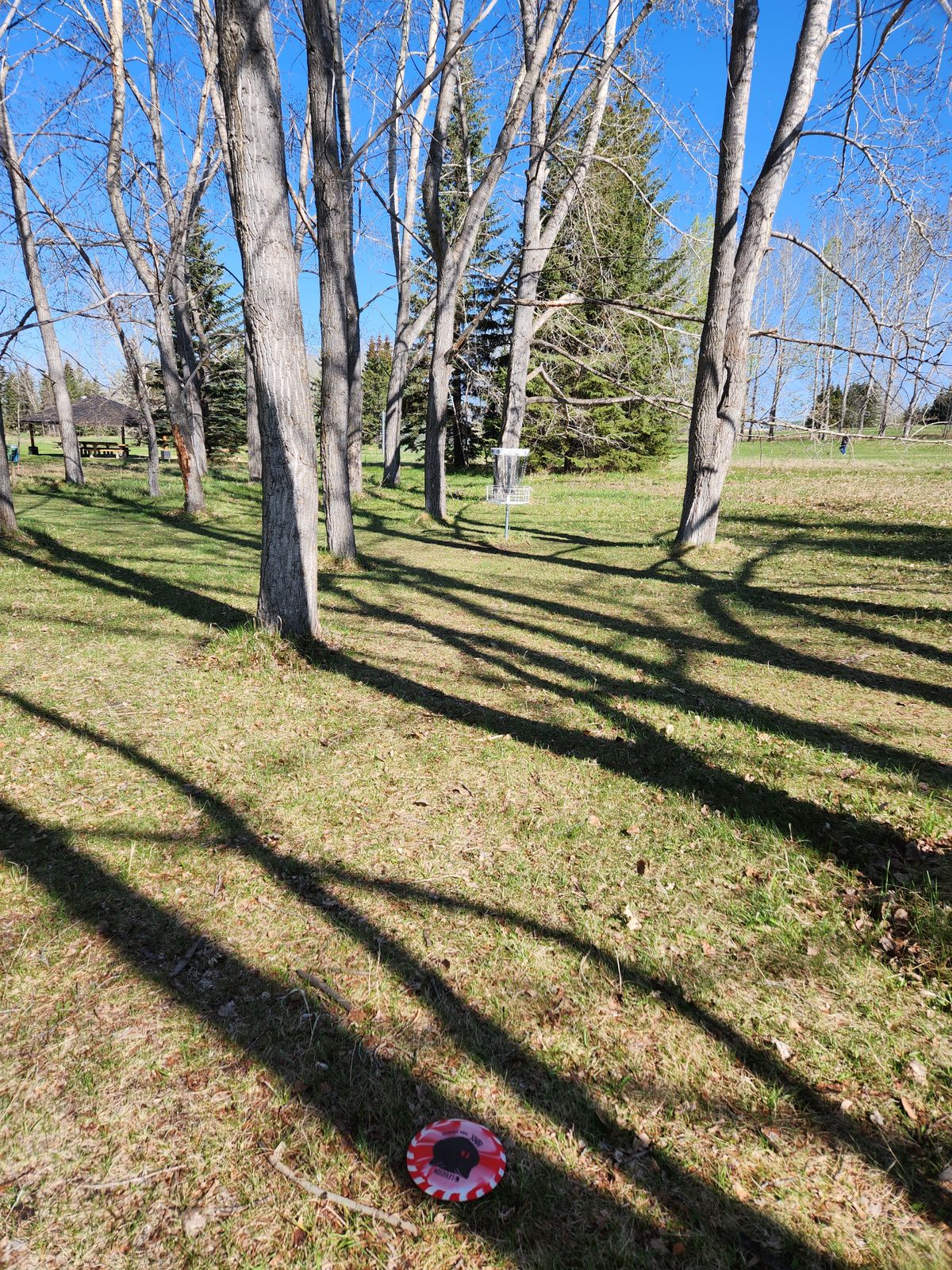 Tunnel to hole 3 basket