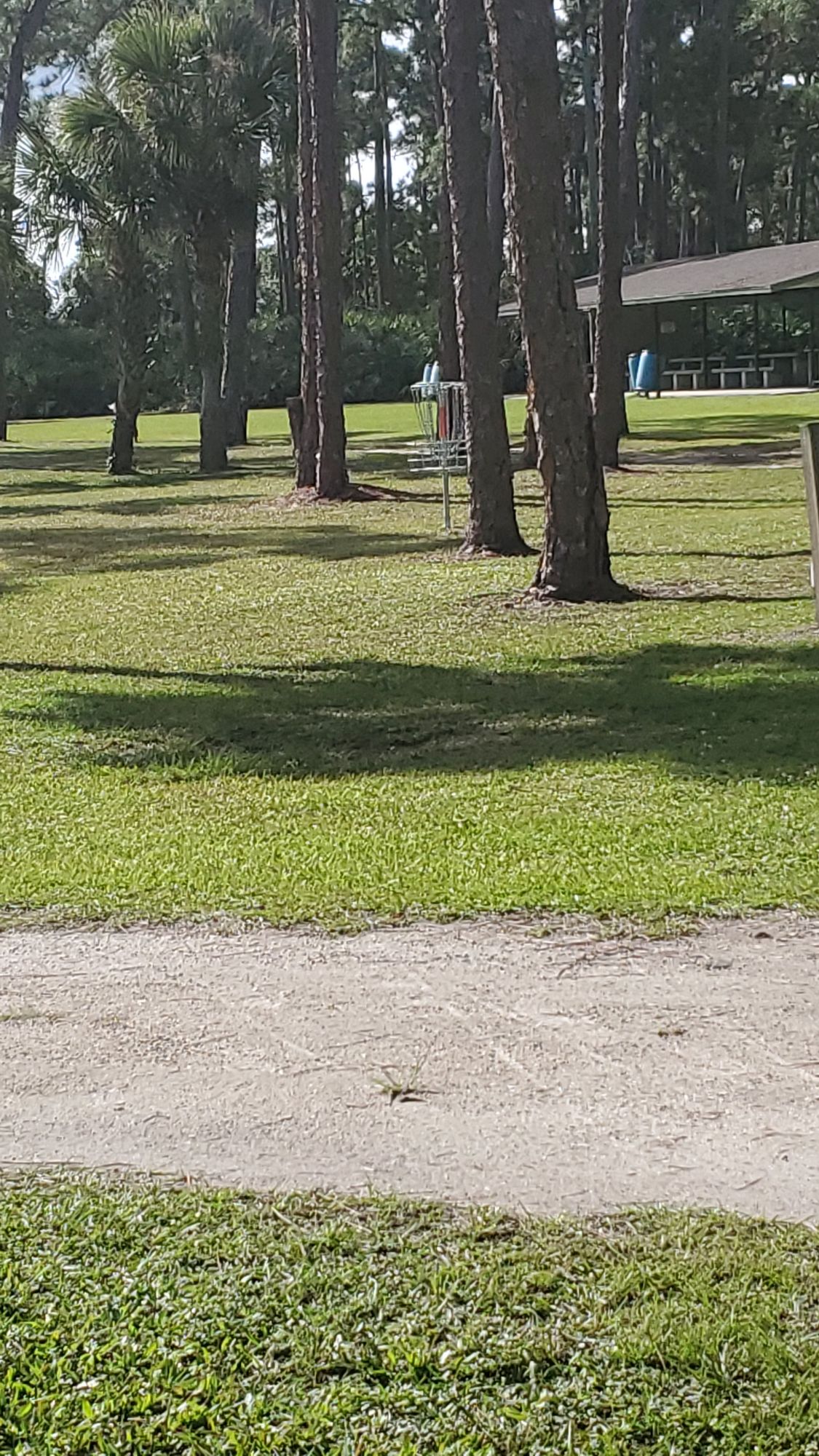 Well manicured new course
