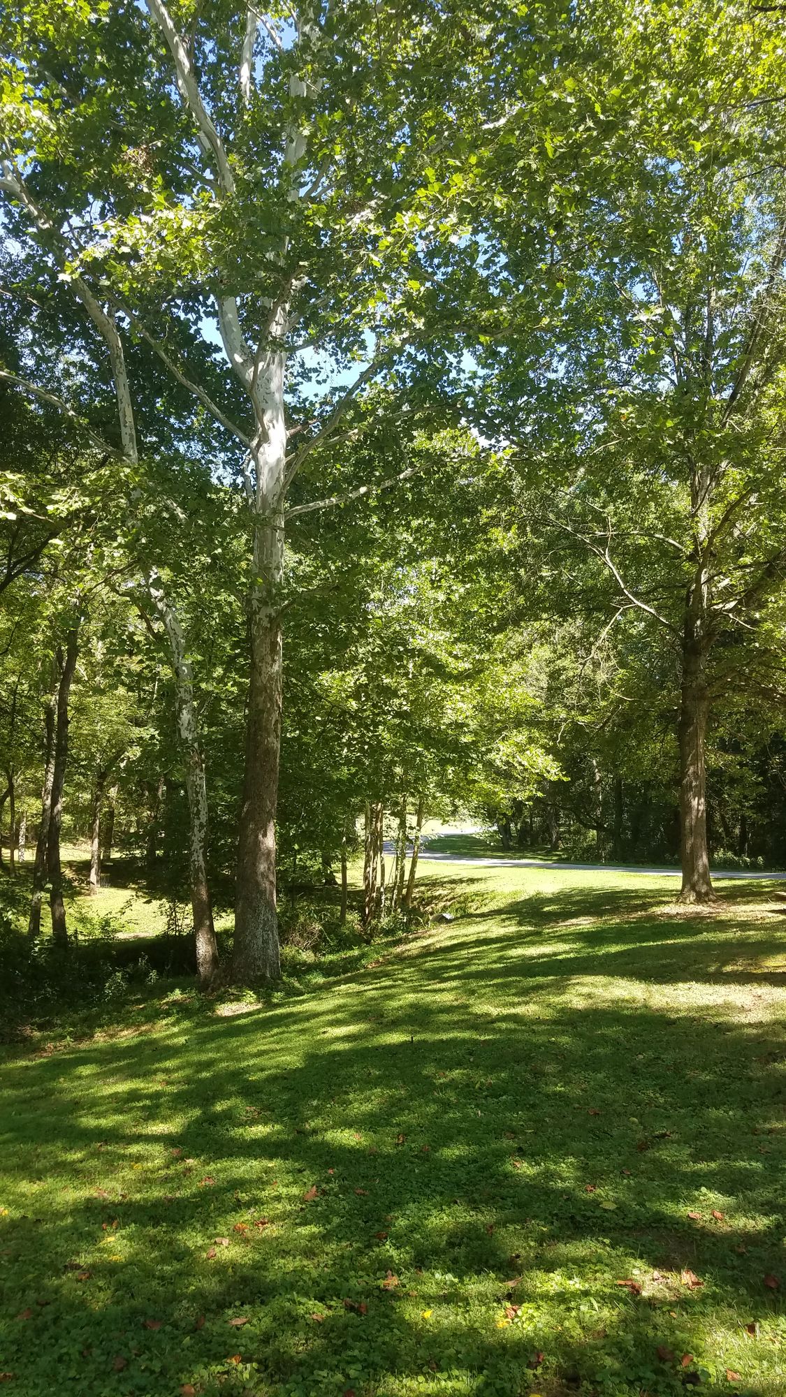 Hole #1 Tee