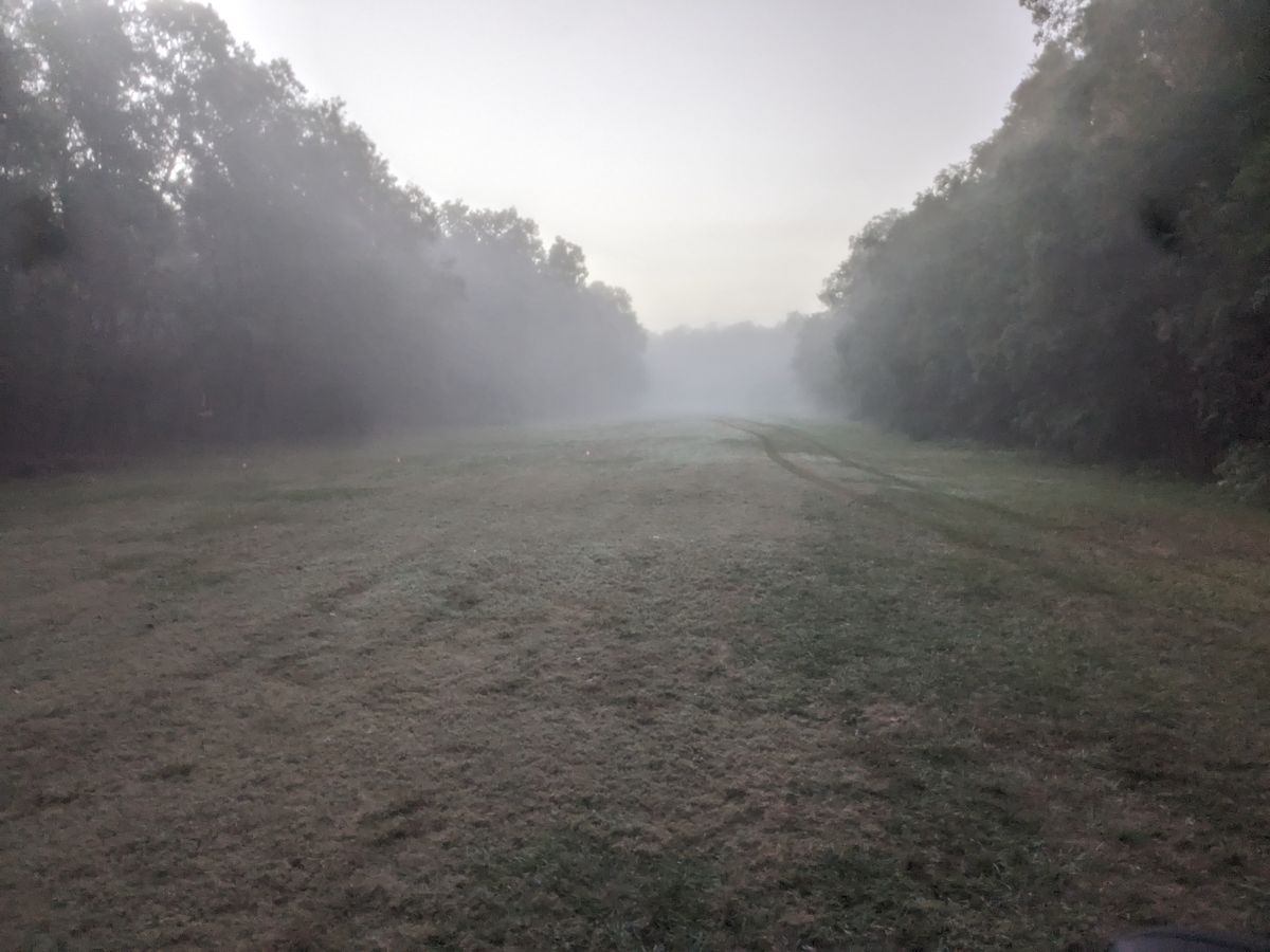 Foggy morning