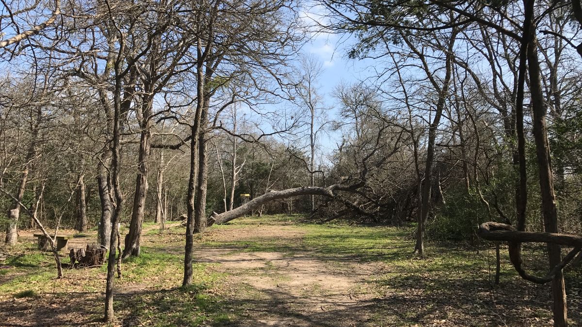 Hole 13