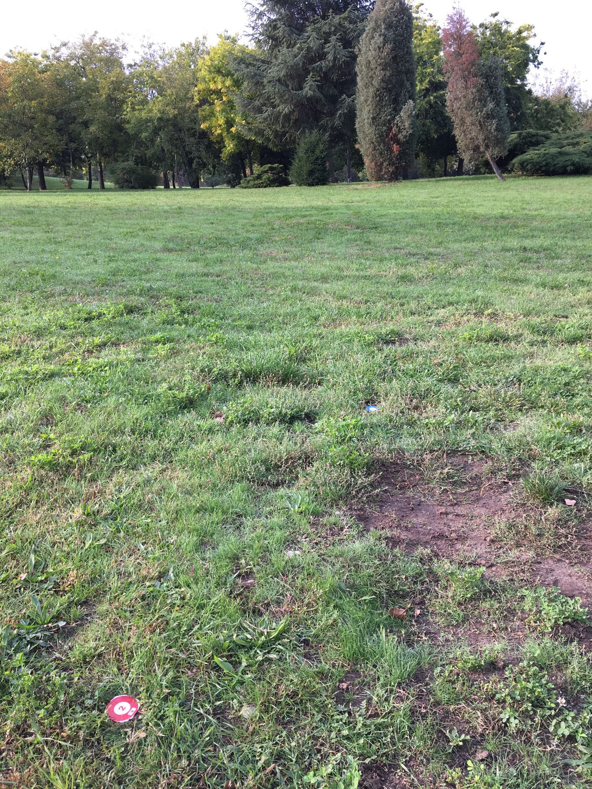 Tee markers were small colored discs (Sept 2017)