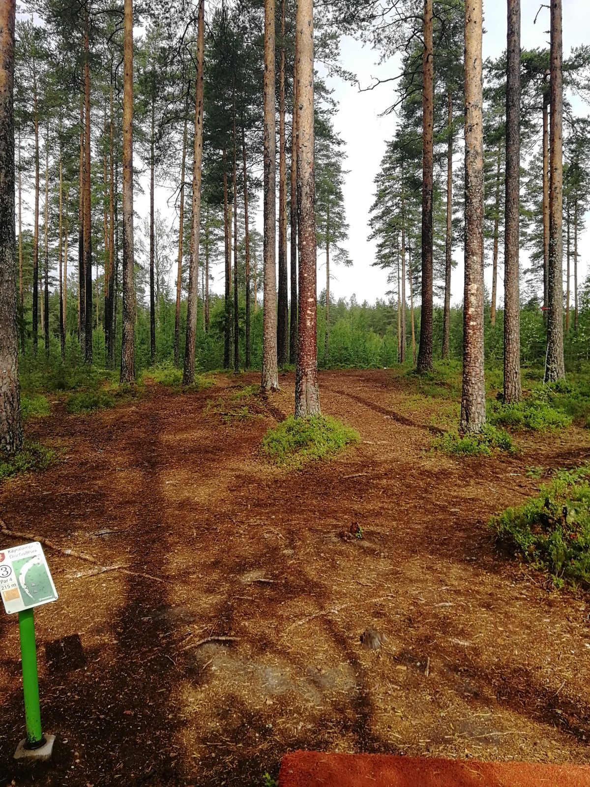 #3 tiiltä. Kaksi pitkää hallittua forea. Par 4