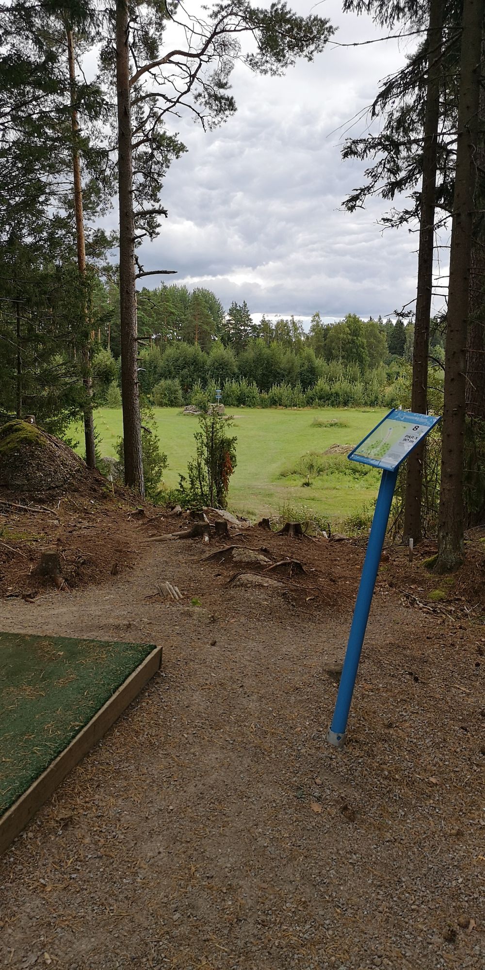 View from tee