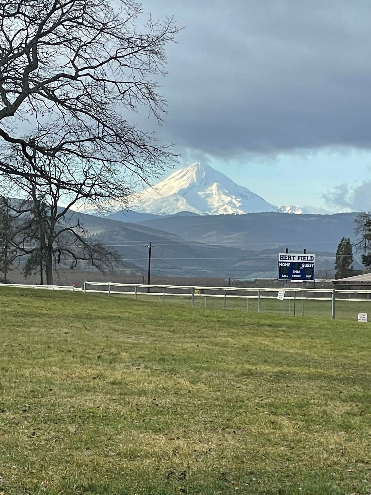 Mt. Hood from tee 11