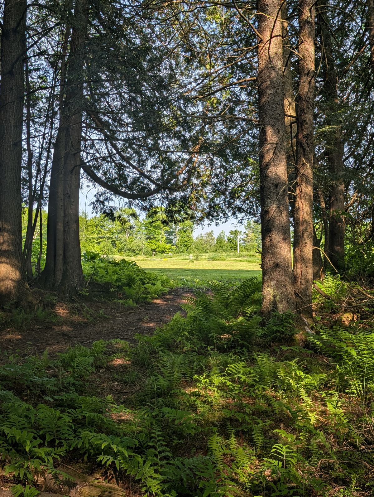 Hole 18