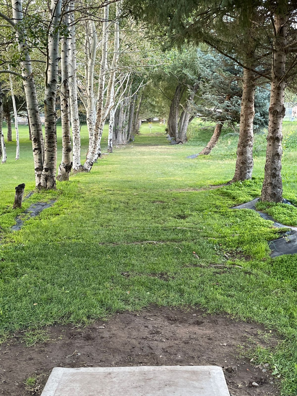 Hole 3 Nature