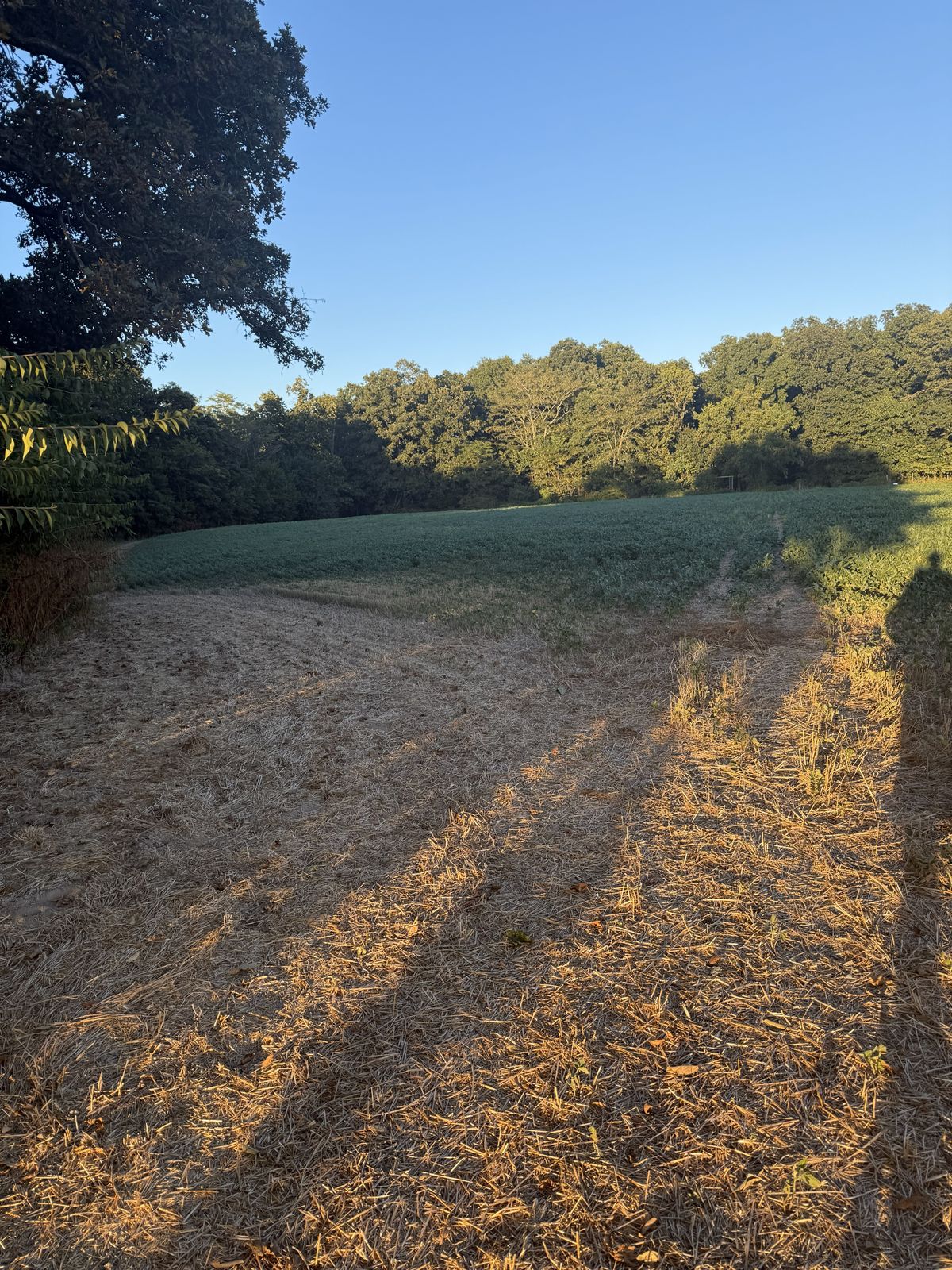 Path behind Hole 10 to Walk to Hole 11 in the Woods.  Follow Orange Stakes