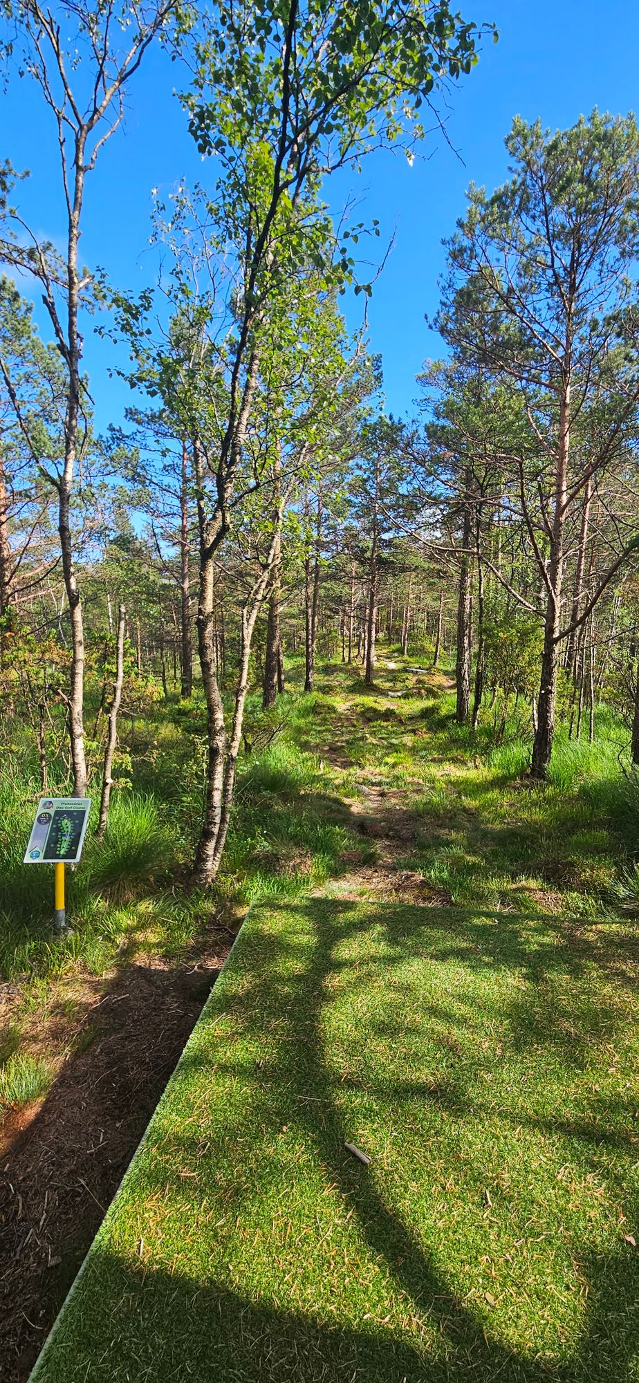Hole 5