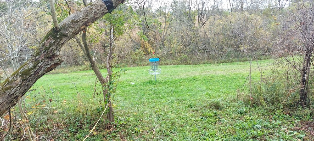 Putting on hole 5.🌳🪵🍀🪵🌳