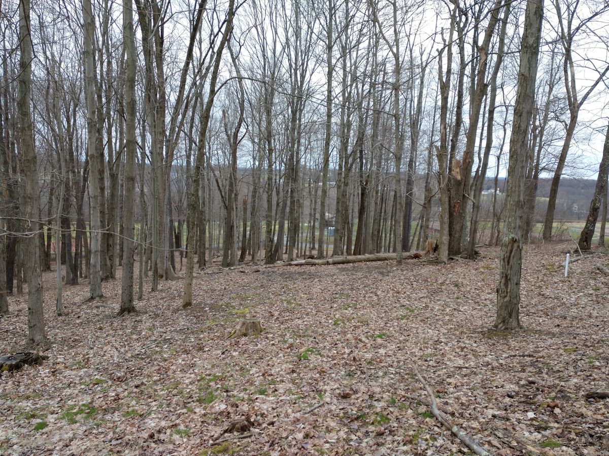 Looking towards hole 14 pad from basket
