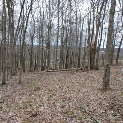 Looking towards hole 14 pad from basket