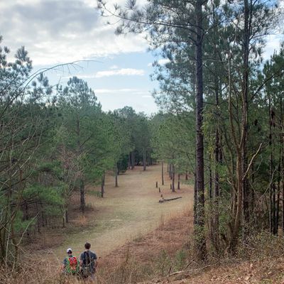 Walking down from 9s tee shot