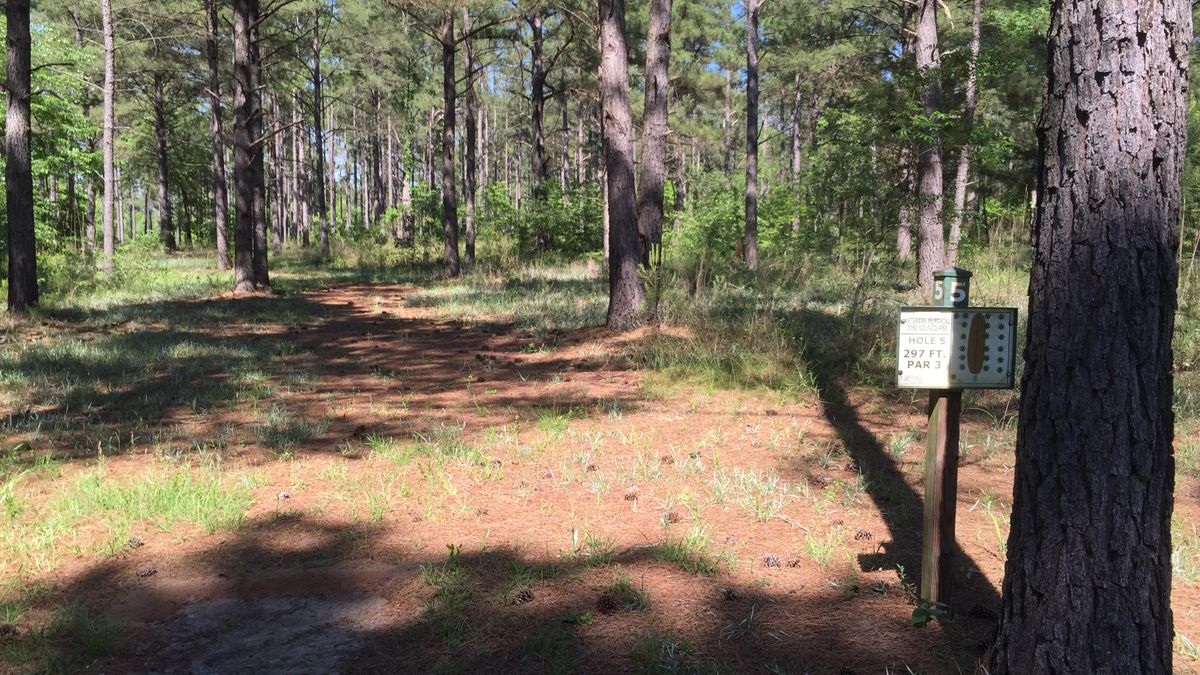 Hole 5