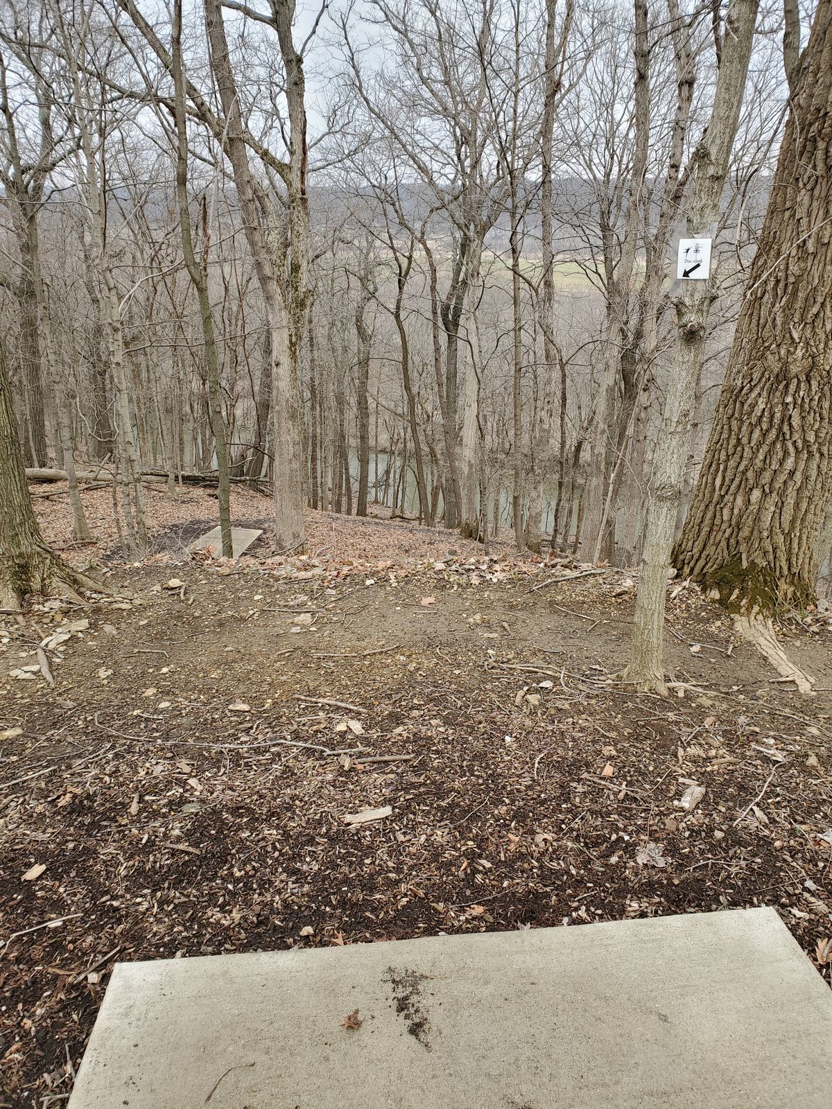 Hole 6 - Super downhill toward water