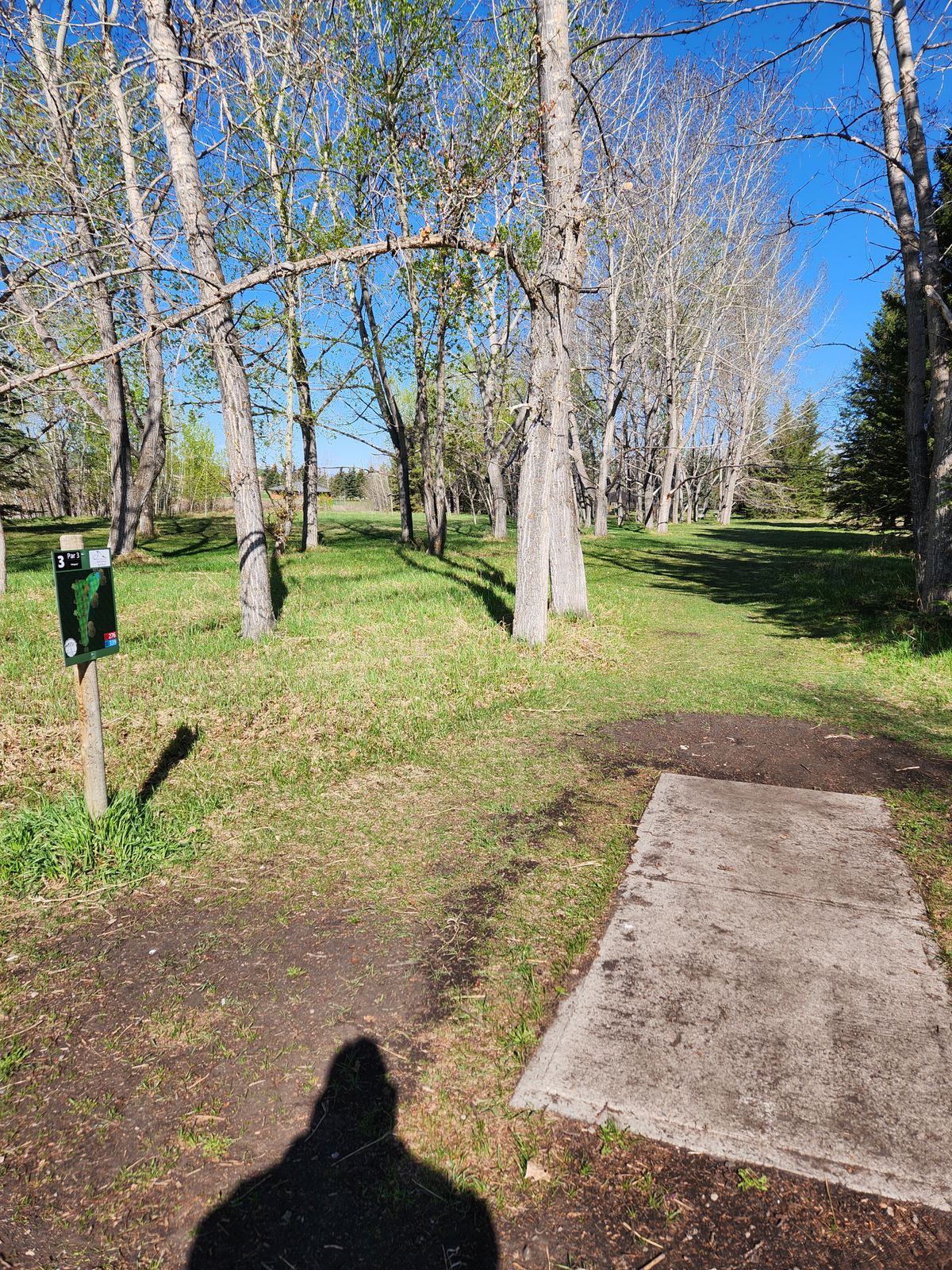 Hole 3 tee pad