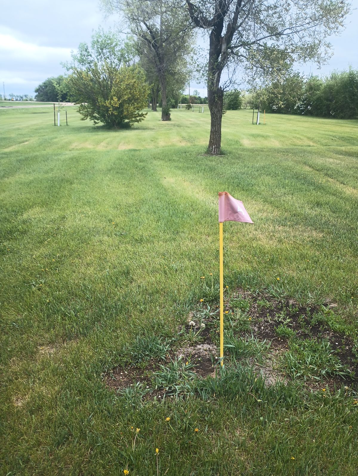 Tee on five with basket on the distance