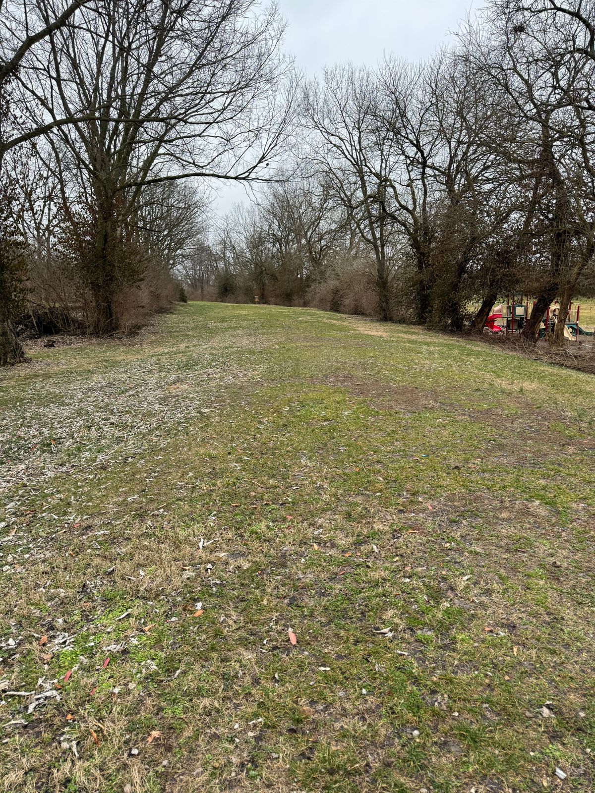 Hole 3 full approach view.