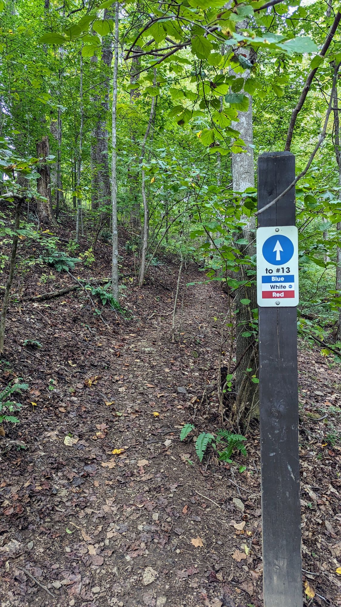 Great directions to next tee. Very easy to follow.