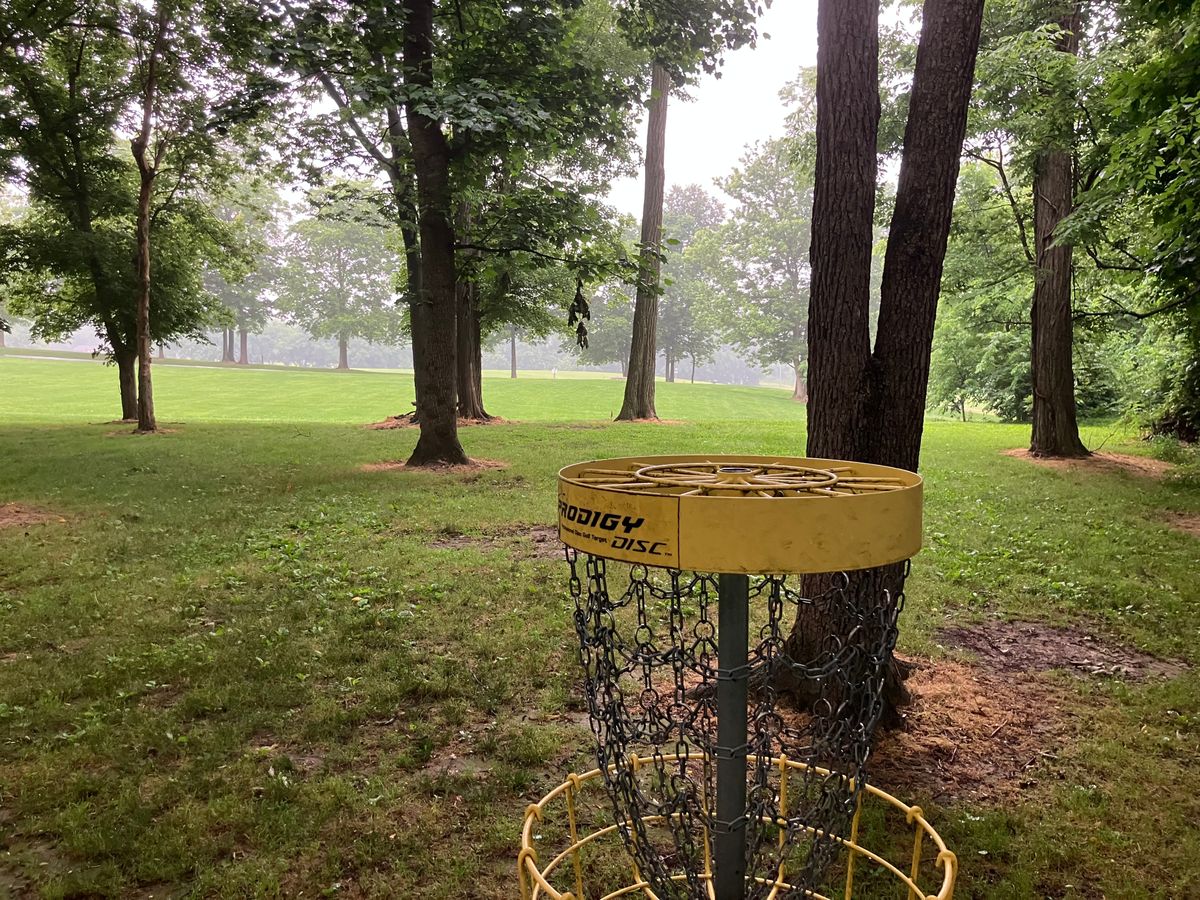 Hole 6 looking from the basket to the tee area. About 300’ from the tee box. Protected by guardians
